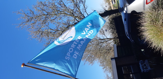 vlag